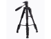 Arcury TP04 Tripod 