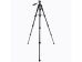 Arcury TP04 Tripod 