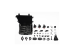 Aputure Storm 80c 3